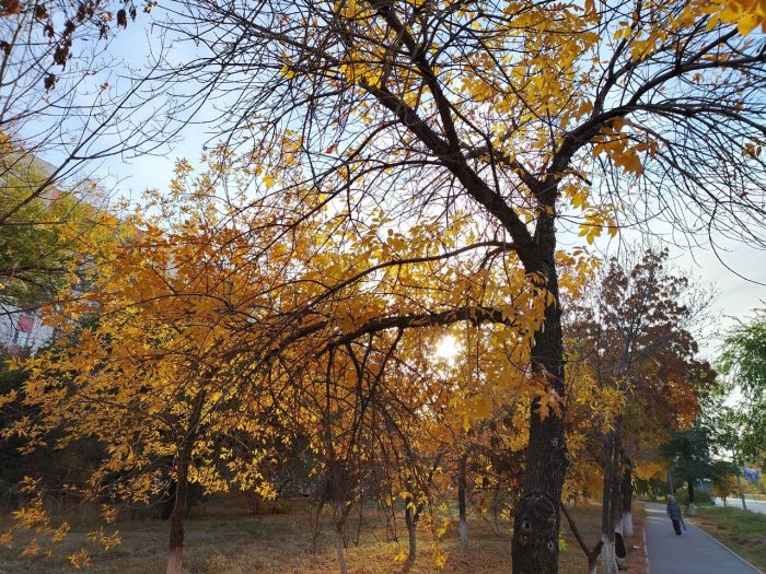 погода осень