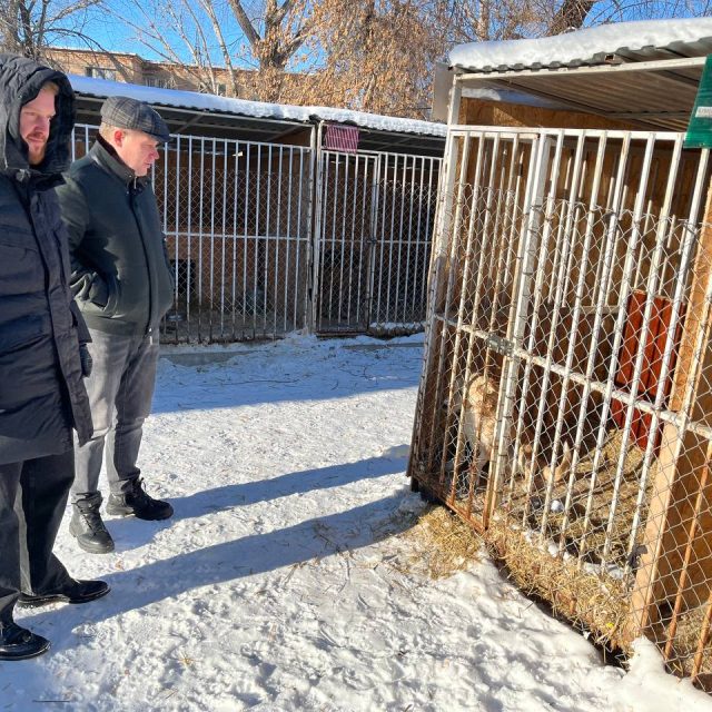филимоша депутаты